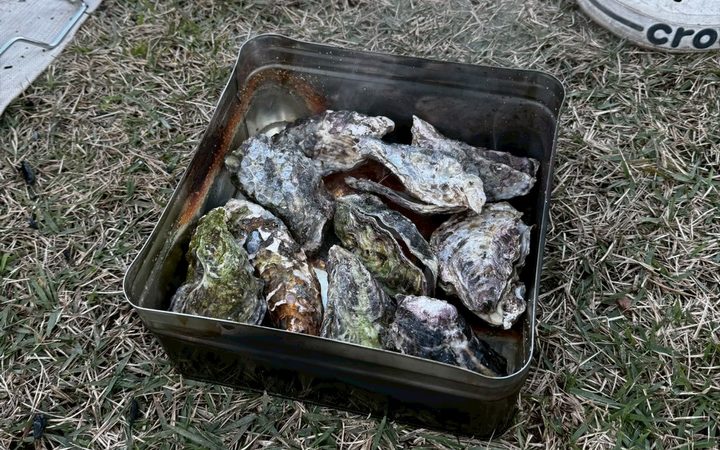 牡蠣の網焼き、シンプルが正義