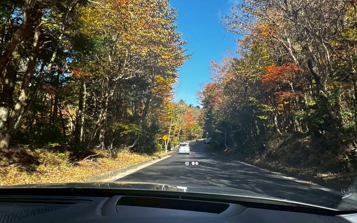 紅葉のドライブ、東名から朝霧へ