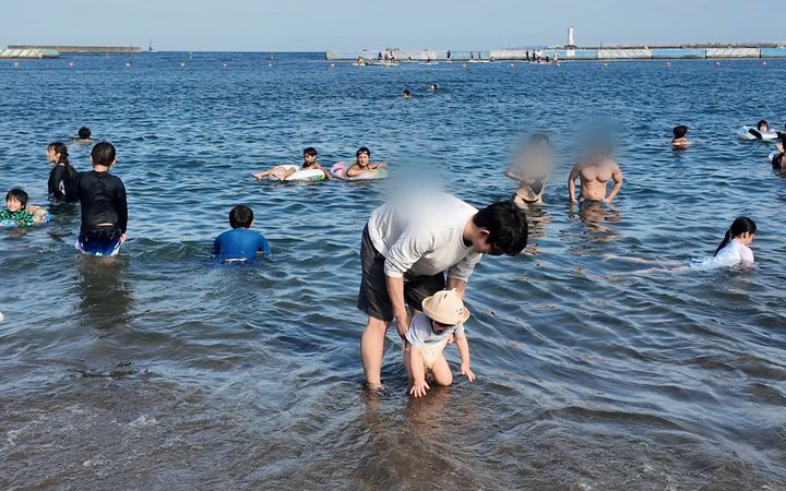 景色と、子供が遊べるスペースの豊富さ