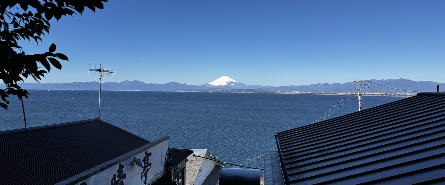 春の伊豆、富士山と海と動物園、早咲き桜