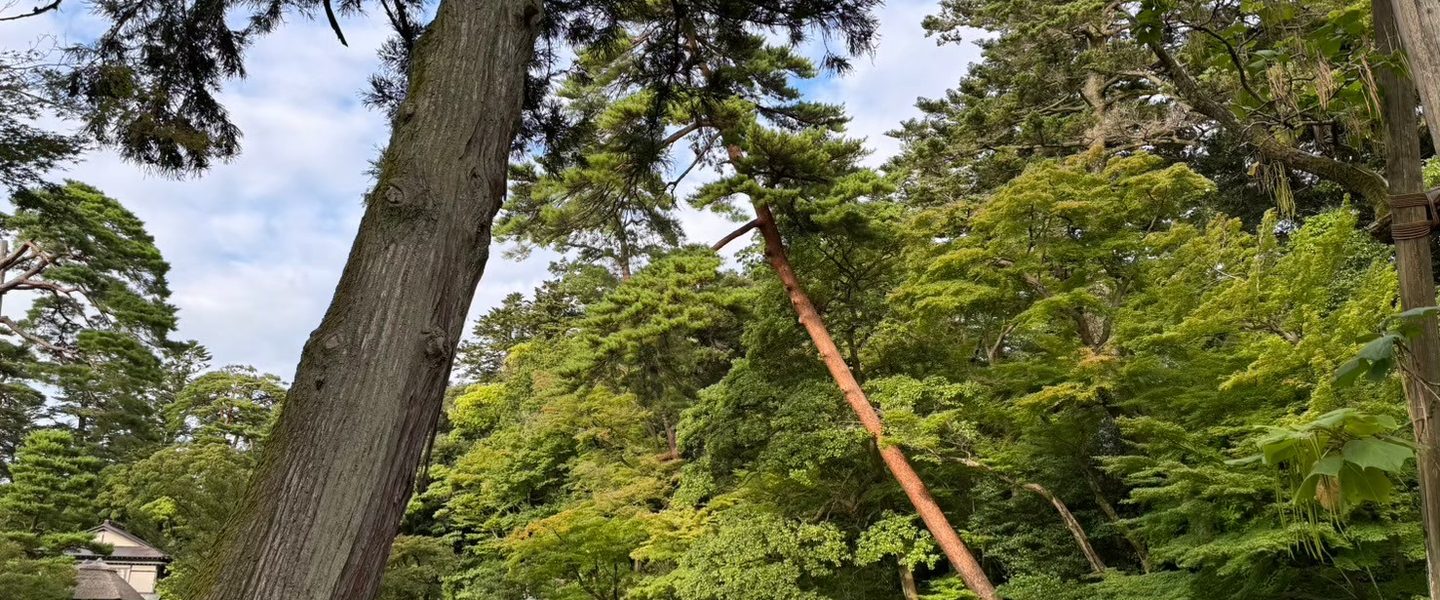 夏の金沢と福井、海と街と兼六園、そして恐竜