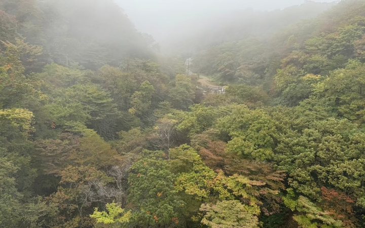 那須どうぶつ王国の入口、ハロウィン装飾