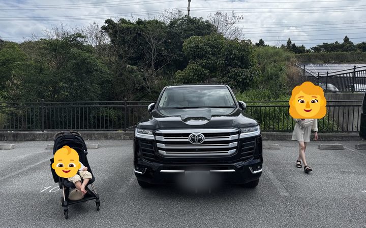 ランドクルーザーを選んだ理由、デカい、デカい