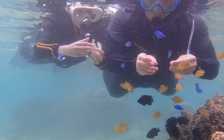 美ら海の隣で、子供と海の練習