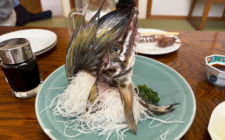 北海道の居酒屋で、大きな魚の頭の刺身